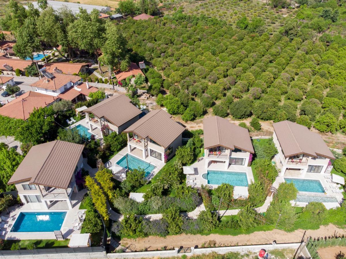 Volans Suites Villas 费特希耶 外观 照片